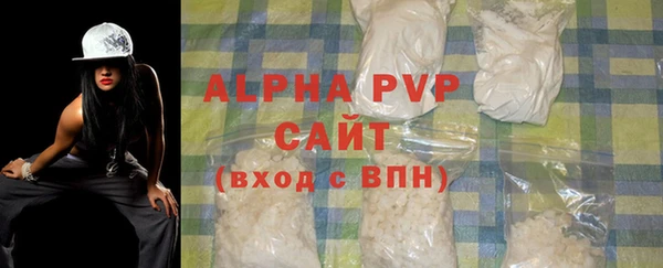 индика Алексин