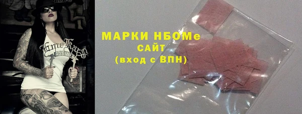 индика Алексин