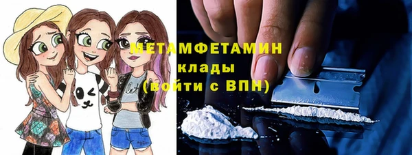 индика Алексин