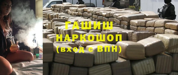 индика Алексин