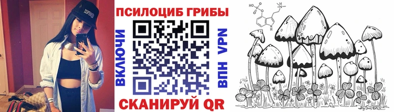 Галлюциногенные грибы Psilocybine cubensis  Омутнинск 