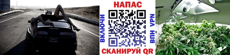 ОМГ ОМГ ссылки  Омутнинск  Конопля ГИДРОПОН 